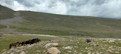 Mongolia