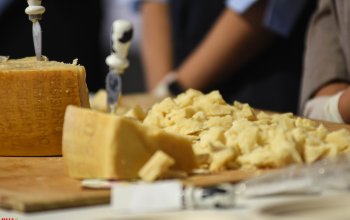 EmiliaFoodFest 2026: la Via Emilia si ferma a Carpi