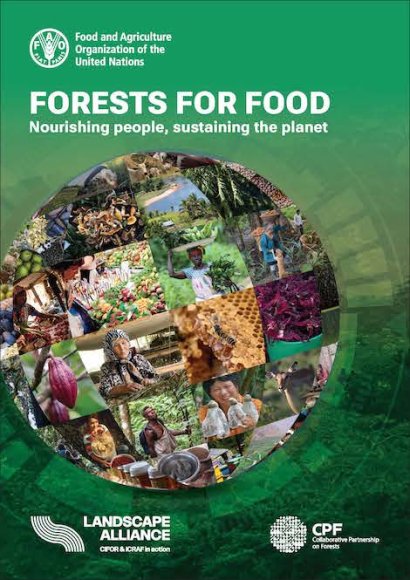 foreste e alimentazione