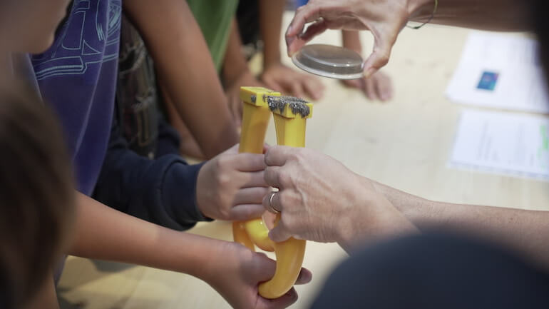 Fiera di educazione alla sostenibilità ambientale