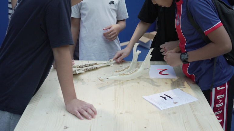 Fiera di educazione alla sostenibilità ambientale