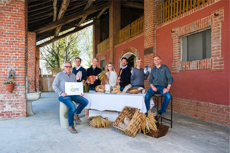 riso in Lomellina