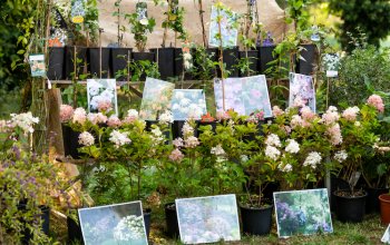 Festival del verde Horti Aperti, con oltre 40 incontri