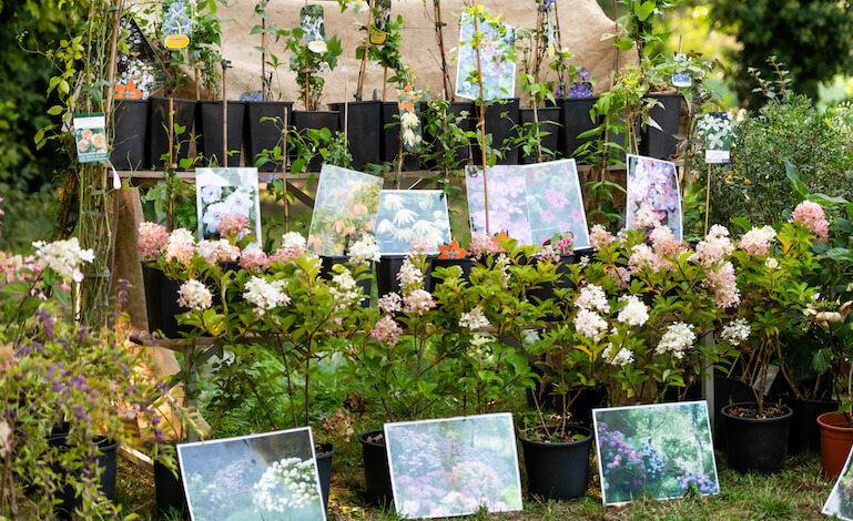 Festival del verde Horti Aperti, con oltre 40 incontri