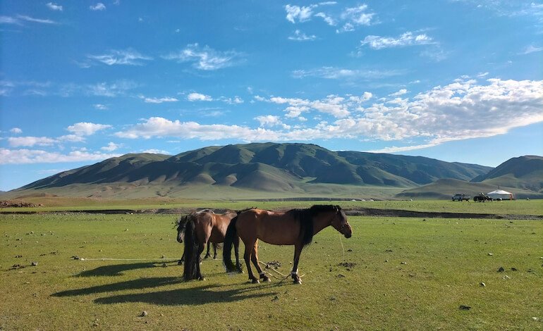 Otto giorni a piedi in Mongolia, al passo di una carovana