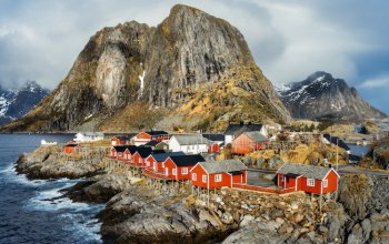 In Norvegia, per fotografare lupi, aquile e aurore boreali