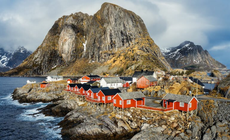 In Norvegia, per fotografare lupi, aquile e aurore boreali