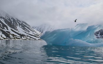 La meraviglia e la lezione di un viaggio alle isole Svalbard