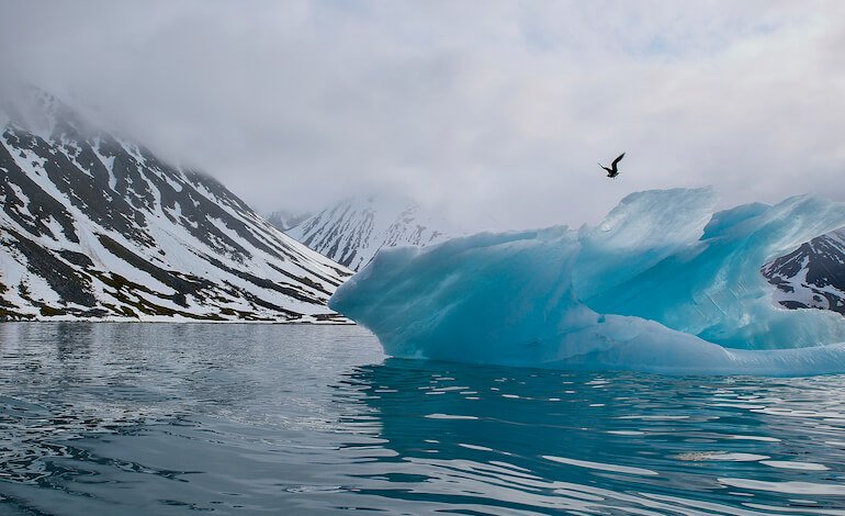La meraviglia e la lezione di un viaggio alle isole Svalbard