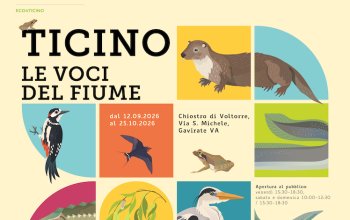 Ticino. Le voci del Fiume