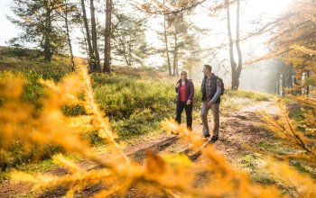 Lüneburger Heide in autunno: in Germania tra brughiere, foreste e uccelli migratori