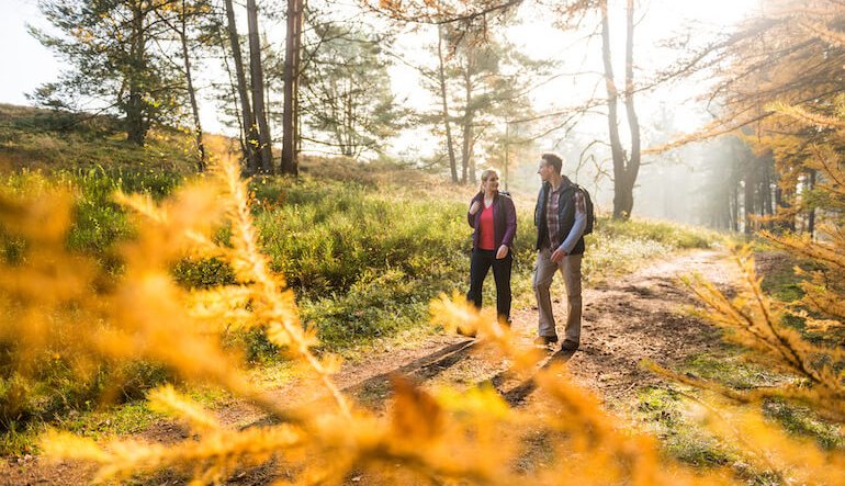 Lüneburger Heide in autunno: in Germania tra brughiere, foreste e uccelli migratori