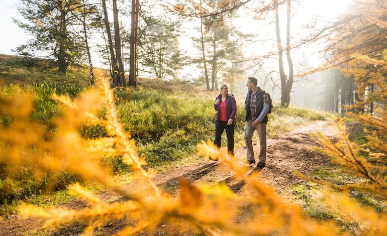 Lüneburger Heide in autunno: in Germania tra brughiere, foreste e uccelli migratori