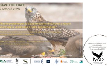 Convegno Buone pratiche per la Conservazione di rapaci necrofagi e Avvoltoi in Lombardia e in Italia settentrionale