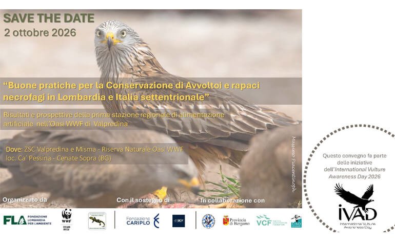 Convegno Buone pratiche per la Conservazione di rapaci necrofagi e Avvoltoi in Lombardia e in Italia settentrionale
