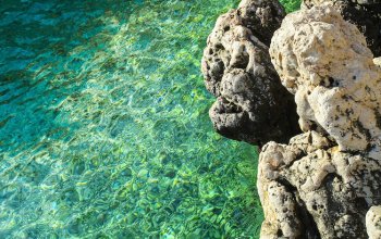 Microbioma marino, la sentinella della salute del mare