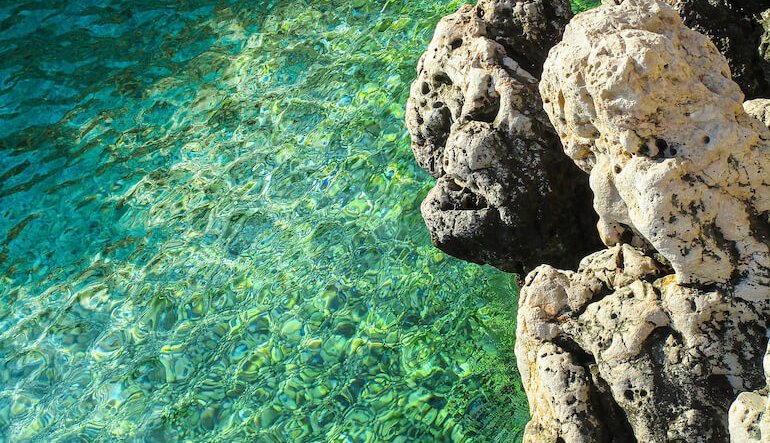 Microbioma marino, la sentinella della salute del mare