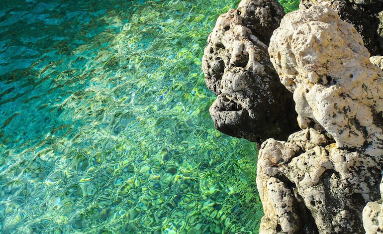 Microbioma marino, la sentinella della salute del mare
