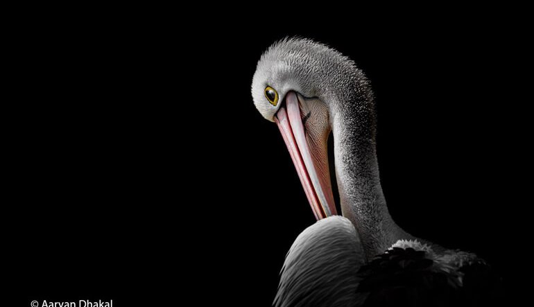 Le immagini più belle della natura australiana