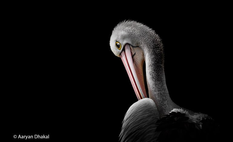Le immagini più belle della natura australiana