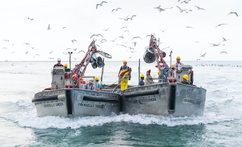 Settimane della Pesca Sostenibile 2026: davanti allo scaffale cresce la richiesta di informazioni chiare e verificabili