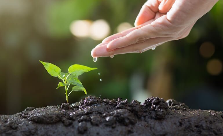 Il suolo come una spugna: perché la salute della Terra può aiutare l’Italia contro la siccità