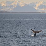 Svalbard