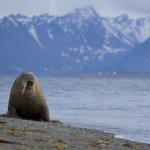 Svalbard