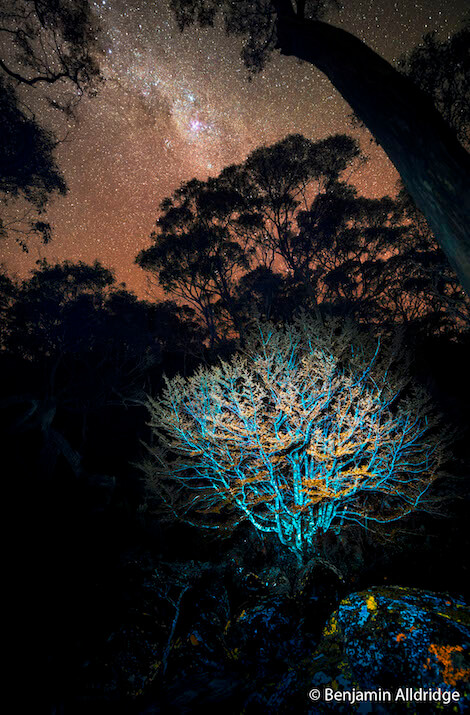 natura australiana