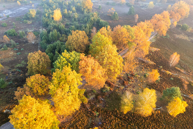 autunno in Germania