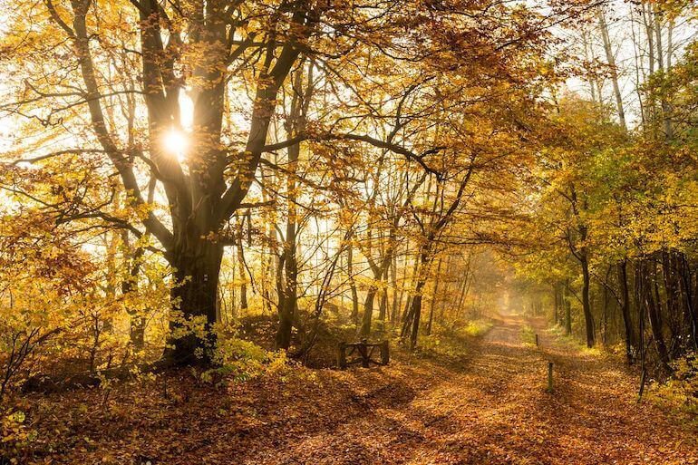autunno in Germania