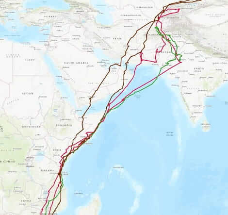 rotte migratorie