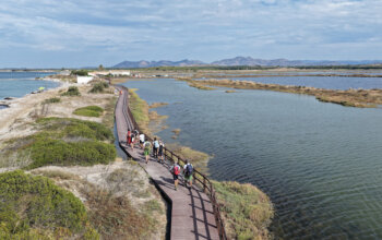 Tre giorni sul Cammino Minerario di Santa Barbara, in Sardegna. Fra saline, vigneti e credenziali digitali