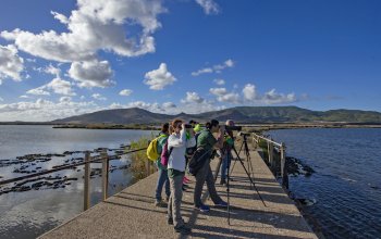 Torna l'Eurobirdwatch della Lipu dedicato a San Francesco