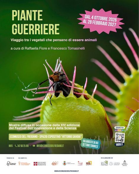 Piante Guerriere