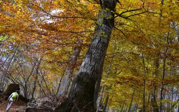 Ussolo, tra i colori dell’autunno