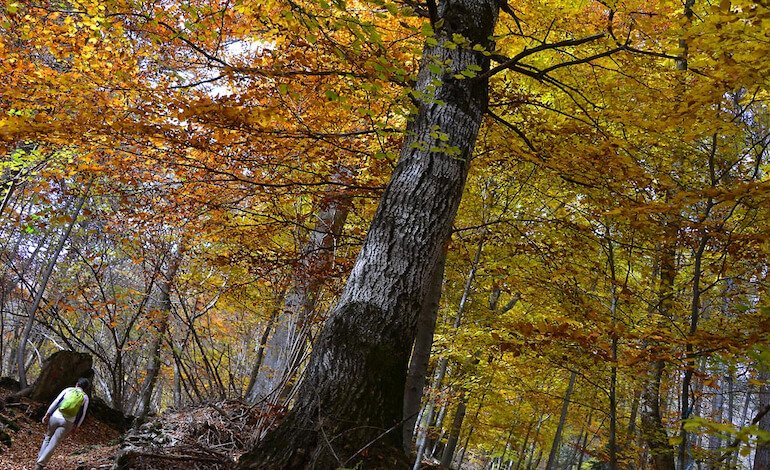 Ussolo, tra i colori dell’autunno