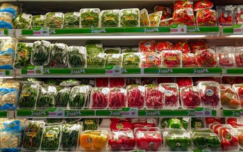 Imballaggi monouso, il decreto sulla compostabilità diventa legge: cosa cambia ora
