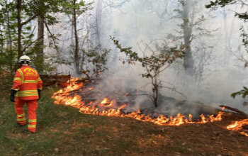 Il bilancio finale dell'emergenza incendi nel Parco del Ticino