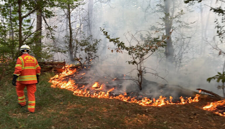 Il bilancio finale dell'emergenza incendi nel Parco del Ticino