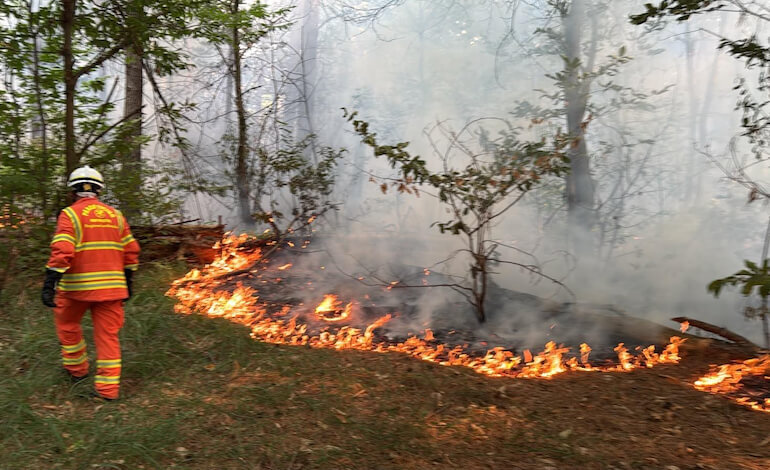 Il bilancio finale dell’emergenza incendi nel Parco del Ticino