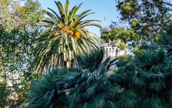 Due piattaforme digitali per gestire le collezioni degli orti botanici