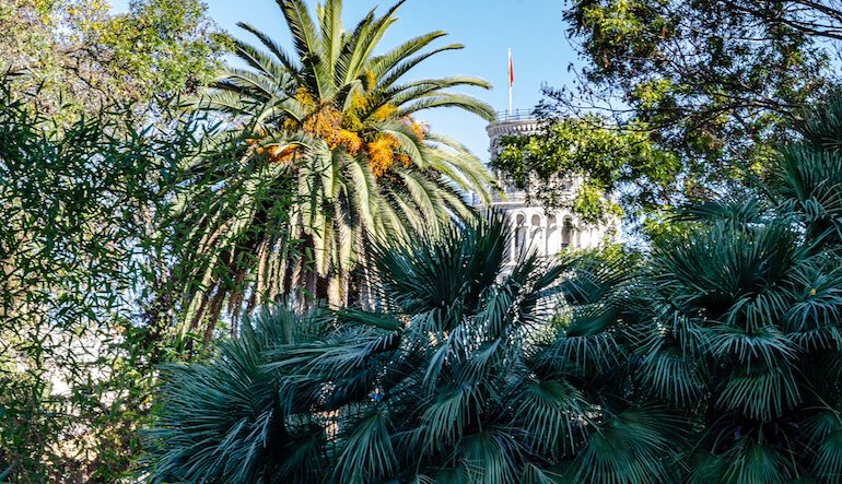 Due piattaforme digitali per gestire le collezioni degli orti botanici