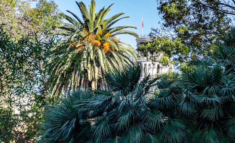 Due piattaforme digitali per gestire le collezioni degli orti botanici