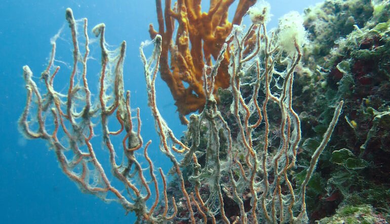 Oceani sempre più caldi, il nuovo rapporto Copernicus fotografa un pianeta in trasformazione
