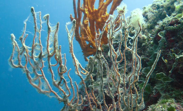 Oceani sempre più caldi, il nuovo rapporto Copernicus fotografa un pianeta in trasformazione