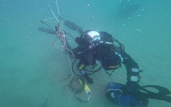 Il mare ha un “battito” sonoro che può rivelare la salute degli ecosistemi