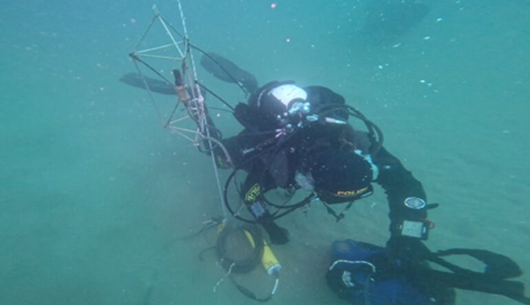 Il mare ha un “battito” sonoro che può rivelare la salute degli ecosistemi