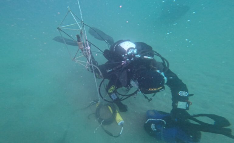 Il mare ha un “battito” sonoro che può rivelare la salute degli ecosistemi