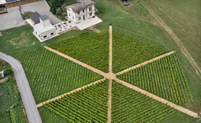 Terradesa, dal Varesotto alle Colline Novaresi: il vino interpreta il territorio